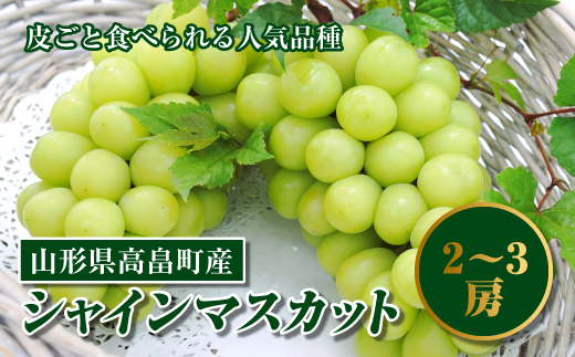 先行予約 シャインマスカット 秀2 3房 約1 7kg Fb 136 山形県高畠町 セゾンのふるさと納税