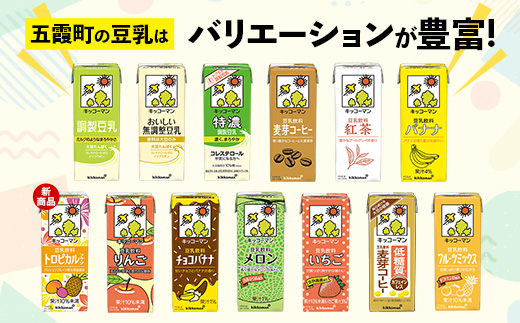 茨城県五霞町のふるさと納税 【合計200ml×54本】特濃調製豆乳200ml / 飲料 キッコーマン 健康 特濃 豆乳飲料 大豆 パック セット 飲み切り 茨城県 五霞町