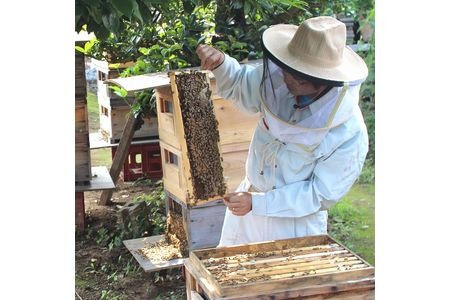 田舎はちみつ あかぼっけ 月お任せ3種(120g) 月ごとに楽しむはちみつギフトセット 無添加 非加熱 生はちみつ ハチミツ 蜂蜜