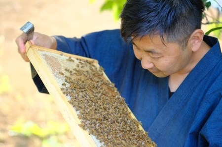 田舎はちみつ あかぼっけ 月お任せ3種(500g) 月ごとに楽しむはちみつ