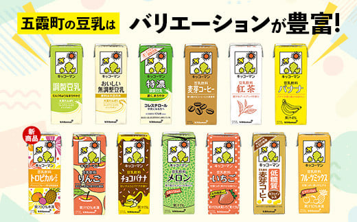 茨城県五霞町のふるさと納税 【合計1000ml×18本】調製豆乳1000ml / 飲料 キッコーマン 健康 大豆 調整豆乳 栄養 大豆たんぱく タンパク質 パック 茨城県 五霞町【価格改定X】