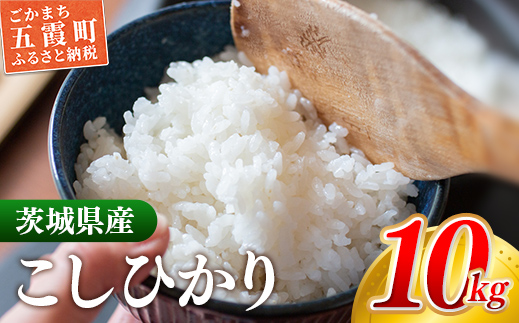 茨城県五霞町のふるさと納税 【新米発送】☆令和6年産☆『こしひかり』　精米10kg(5kg×2袋) 出荷日に合わせて精米【2024年9月上旬より発送開始】コシヒカリ 人気 銘柄 茨城県産 お好み 選択 家計応援 家庭用 茨城県 五霞町【価格改定X】