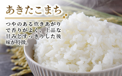 茨城県五霞町のふるさと納税 【新米先行受付】☆令和6年産☆『あきたこまち』精米10kg(5kg×2袋) 出荷日に合わせて精米 【2024年9月上旬より発送開始】あきたこまち 人気 銘柄 茨城県産 数量限定 家計応援 家庭用 茨城県 五霞町