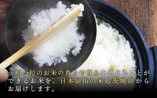 茨城県五霞町のふるさと納税 【新米発送】令和6年産『五霞の輝き』無洗米・16kg(5kg×2袋、6kg×1袋)【価格改定ZG1】