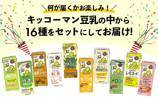 茨城県五霞町のふるさと納税 【合計200ml×16本】キッコーマン バラエティーセット 200ml / 飲料 豆乳 健康 おまかせ おやつ 豆乳飲料 大豆 パック セット 定番 飲み切り おすすめ 茨城県 五霞町