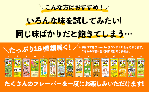 茨城県五霞町のふるさと納税 【合計200ml×16本】キッコーマン バラエティーセット 200ml / 飲料 豆乳 健康 おまかせ おやつ 豆乳飲料 大豆 パック セット 定番 飲み切り おすすめ 茨城県 五霞町