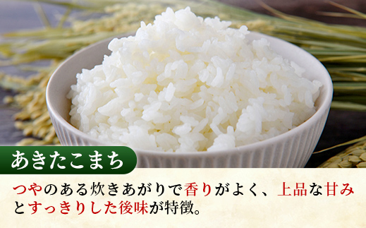 茨城県五霞町のふるさと納税 【新米発送】☆令和6年産☆『あきたこまち』精米10kg(5kg×2袋) 出荷日に合わせて精米 【2024年9月上旬より発送開始】あきたこまち 人気 銘柄 茨城県産 数量限定 家計応援 家庭用 茨城県 五霞町【価格改定X】