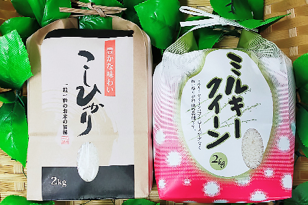 ごかを食べよう!セット4 (米2種類食べ比べ)|