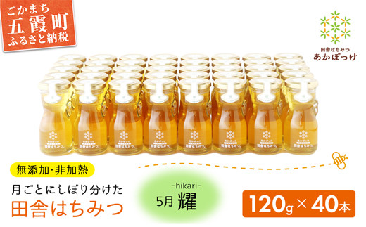 [五霞町限定5セット]季節で移ろう田舎はちみつ5月耀 120g×40本 イベントやプレゼントに。生ハチミツ 非加熱 茨城県産