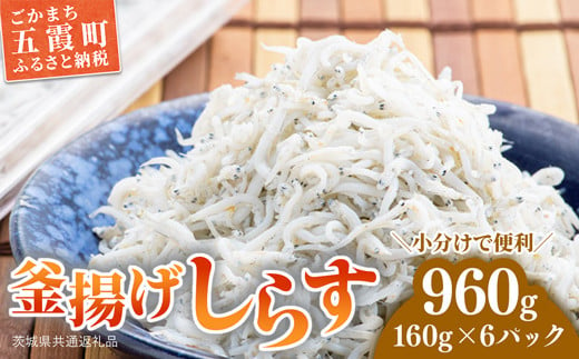 釜揚げしらす 6パック ( 160g × 6パック ) 約 1キロ(茨城県共通返礼品・大洗町産)