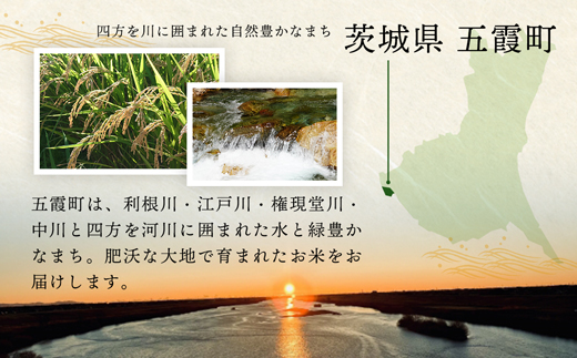 令和7年産 茨城県産 にじのきらめき 20kg(5kg×4袋) / お米 精米 新米