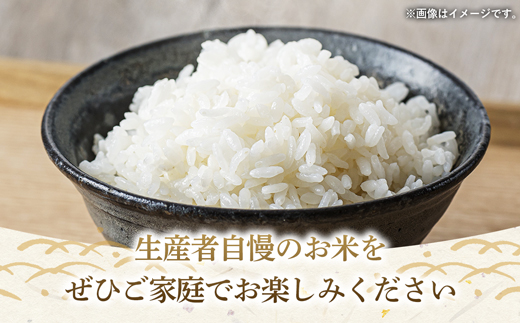令和7年産 茨城県産 にじのきらめき 20kg(5kg×4袋) / お米 精米 新米