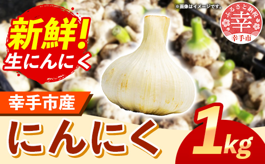 エビサワ農園の黒にんにく300g【02408-0081】 / 青森県東北町 | セゾン