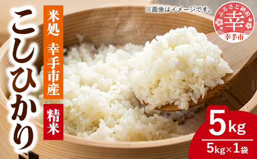埼玉県幸手市のふるさと納税 令和6年幸手産 こしひかり【精米】5㎏×1袋 - コシヒカリ 精米 5kg 令和6年産 埼玉県 幸手市 幸手市産