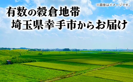 埼玉県幸手市のふるさと納税 令和6年幸手産 こしひかり【精米】5㎏×1袋 - コシヒカリ 精米 5kg 令和6年産 埼玉県 幸手市 幸手市産