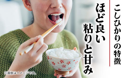 埼玉県幸手市のふるさと納税 令和6年幸手産 こしひかり【精米】5㎏×1袋 - コシヒカリ 精米 5kg 令和6年産 埼玉県 幸手市 幸手市産