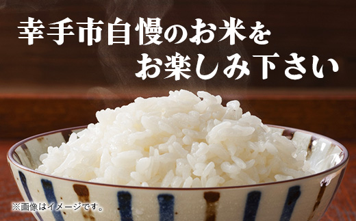 埼玉県幸手市のふるさと納税 令和6年幸手産 こしひかり【精米】5㎏×1袋 - コシヒカリ 精米 5kg 令和6年産 埼玉県 幸手市 幸手市産