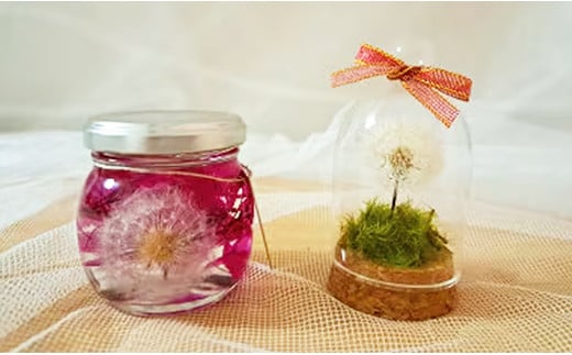 たんぽぽハーバリウム&ガラスドーム - ハーバリウム ガラスドーム