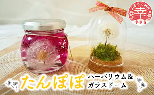 たんぽぽハーバリウム&ガラスドーム - ハーバリウム ガラスドーム 