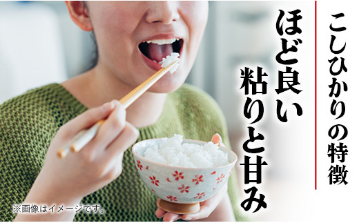 埼玉県幸手市のふるさと納税 令和6年幸手産 こしひかり【無洗米】4.5㎏×2袋 - コシヒカリ 無洗米 9kg 令和6年産 便利 時短 埼玉県 幸手市 幸手市産【価格改定ZA】