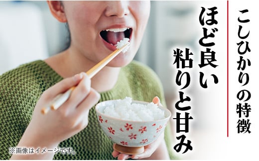 埼玉県幸手市のふるさと納税 令和6年幸手産 こしひかり【精米】5㎏×2袋 - コシヒカリ 精米 10kg 令和6年産 埼玉県 幸手市 幸手市産【価格改定ZA】