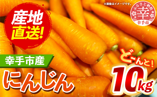 埼玉県幸手市のふるさと納税 【きあり農園】幸手市産 人参 10kg - 採れたて にんじん ニンジン 産地直送 野菜 ベジタブル 美味しい おいしい 根菜 煮物 炒め物 カレー サラダ おすすめ 送料無料 埼玉県 幸手市
