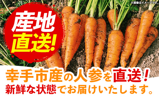 埼玉県幸手市のふるさと納税 【きあり農園】幸手市産 人参 10kg - 採れたて にんじん ニンジン 産地直送 野菜 ベジタブル 美味しい おいしい 根菜 煮物 炒め物 カレー サラダ おすすめ 送料無料 埼玉県 幸手市