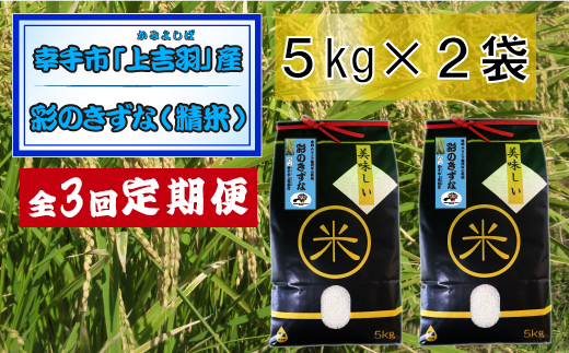 埼玉県幸手市のふるさと納税 【令和6年産米】食味Aランク継続中の銘柄 彩のきずな 精米10kg【定期便3ヶ月】全3回お届け