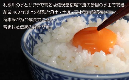 埼玉県幸手市のふるさと納税 【令和6年産米】食味Aランク継続中の銘柄 彩のきずな 精米10kg【定期便3ヶ月】全3回お届け