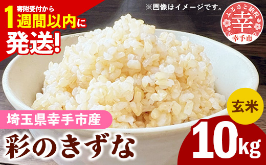 令和7年産【彩のきずな】玄米10kg 色彩選別済 Brown Rice - お米 米