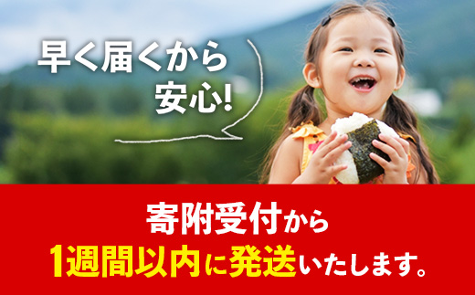 令和7年産【彩のきずな】玄米10kg 色彩選別済 Brown Rice - お米 米