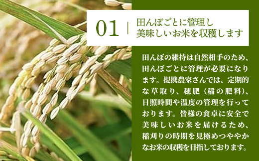 令和7年産【彩のきずな】玄米10kg 色彩選別済 Brown Rice - お米 米