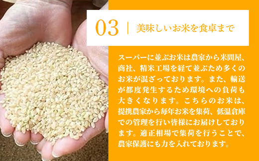 令和7年産【彩のきずな】玄米10kg 色彩選別済 Brown Rice - お米 米