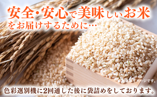 埼玉県幸手市のふるさと納税 【先行受付】令和7年産 開運米 コシヒカリ 【玄米】(減農薬)幸手産 - 5kg×2袋 10kg 先行 予約 新米 新米予約 先行予約 2025年発送 こしひかり 福祉 応援 安心 安全 埼玉県 幸手市 幸手市産