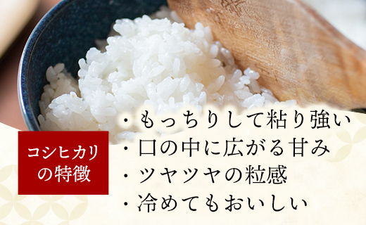 埼玉県幸手市のふるさと納税 令和6年度産【特別栽培米】コシヒカリ 5㎏ - こしひかり 5kg 令和6年産 精米 埼玉県 幸手市 幸手市産