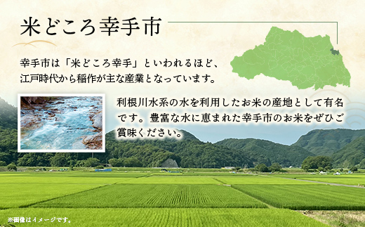 埼玉県幸手市のふるさと納税 令和6年度産【特別栽培米】コシヒカリ 5㎏ - こしひかり 5kg 令和6年産 精米 埼玉県 幸手市 幸手市産