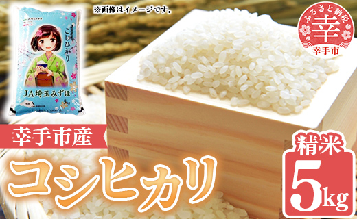 埼玉県幸手市のふるさと納税 令和6年度産 コシヒカリ 5kg - こしひかり 5kg 令和6年産 精米 埼玉県 幸手市 幸手市産