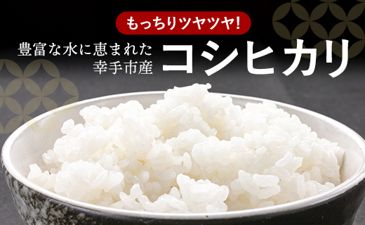 埼玉県幸手市のふるさと納税 令和6年度産 コシヒカリ 5kg - こしひかり 5kg 令和6年産 精米 埼玉県 幸手市 幸手市産