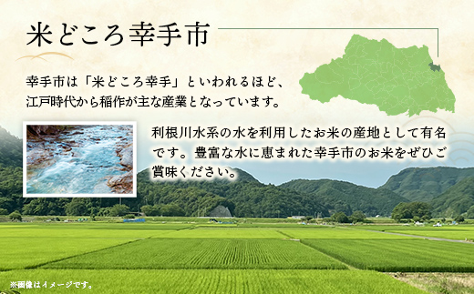 埼玉県幸手市のふるさと納税 令和6年度産 コシヒカリ 5kg - こしひかり 5kg 令和6年産 精米 埼玉県 幸手市 幸手市産