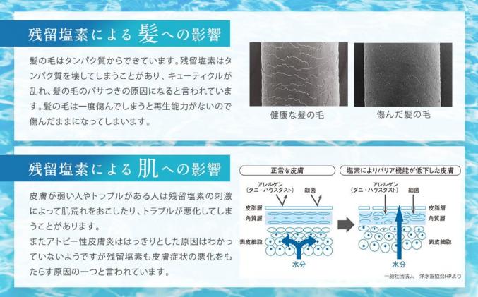 愛知県幸田町のふるさと納税 シャワーヘッド 浄水シャワー ウォータークチュール ( ホワイト ) ( 浄水 カートリッジ 1個セット ) 塩素除去 交換簡単 節水 カートリッジ