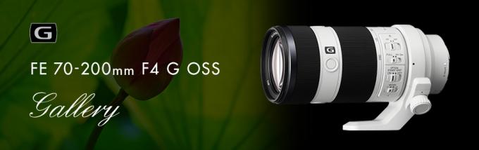 デジタル一眼カメラα [Eマウント] 用レンズFE 70-200mm F4 G OSS