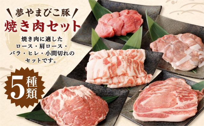 愛知県幸田町のふるさと納税 夢やまびこ豚 焼肉セット 1kg 5種類 (ロース・肩ロース・バラ・ヒレ・小間切れ)