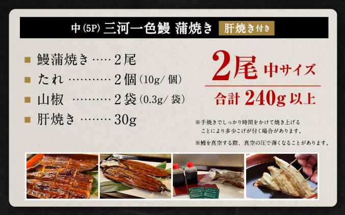 愛知県幸田町のふるさと納税 中(5P) 三河一色 鰻 蒲焼き 2尾 (240g以上) (肝焼き付き)  うなぎ 鰻 蒲焼 丑の日 土用の丑の日