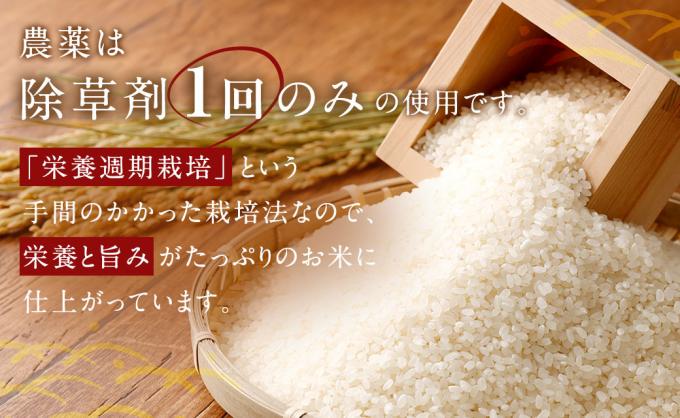 愛知県幸田町のふるさと納税 幸田町産「栄養週期栽培米」あいちのかおり 10kg 白米 精米 お米 米
