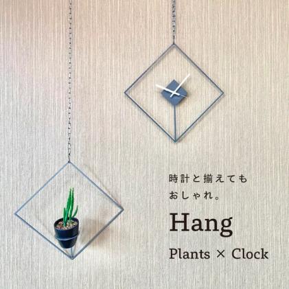 GRAVIRoN Hang Plants シリーズ Diamond 酸洗鉄(プランツハンガー)|株式会社 イーダ