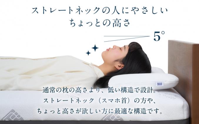 愛知県幸田町のふるさと納税 【2営業日以内発送】エアウィーヴ ピロー スリム “みな実のまくら” × ピローケース スリム セット