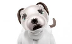 aibo 自律型エンターテインメント ロボット (カラー:アイボリーホワイト) 【令和2年度　全国発明表彰「内閣総理大臣賞」受賞】アイボ