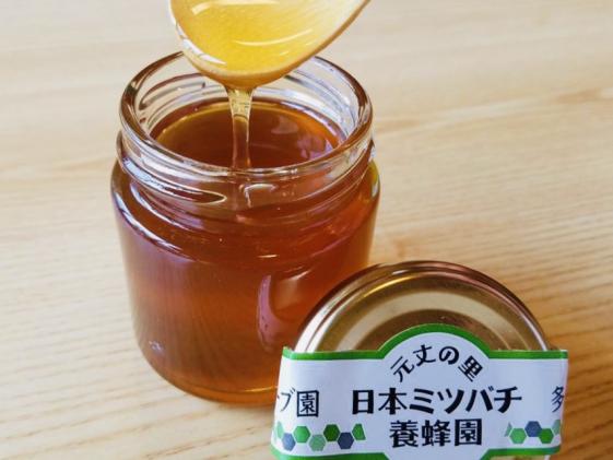 Gj 02 無農薬ハーブ園から採取した超希少な日本ミツバチの蜂蜜 数量限定 三重県多気町 セゾンのふるさと納税