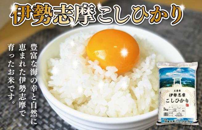 三重県明和町のふるさと納税 【2024年10月前半発送】令和6年 三重県産 伊勢志摩 コシヒカリ 20kg D-42