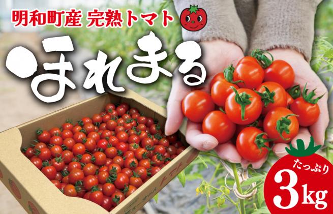 3月発送】 高糖度 ミニトマト スイートベル （ 房どり ） 180g × 10P